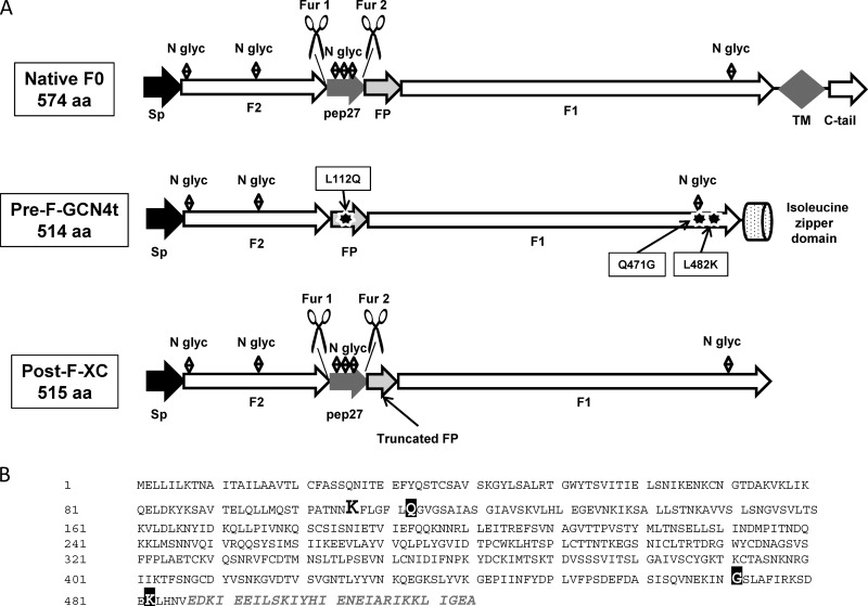 FIG 1