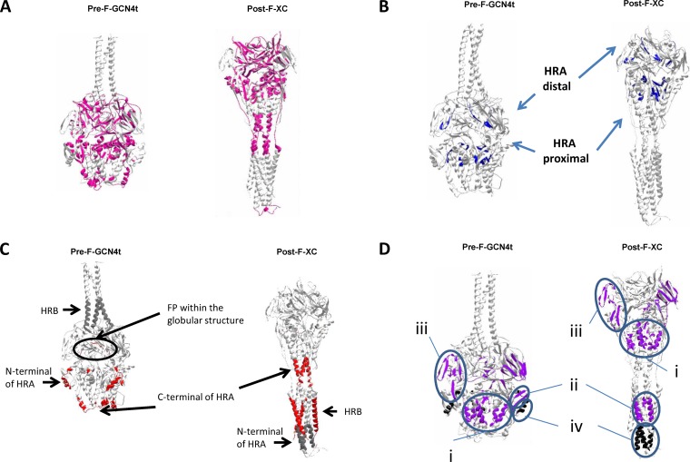 FIG 6