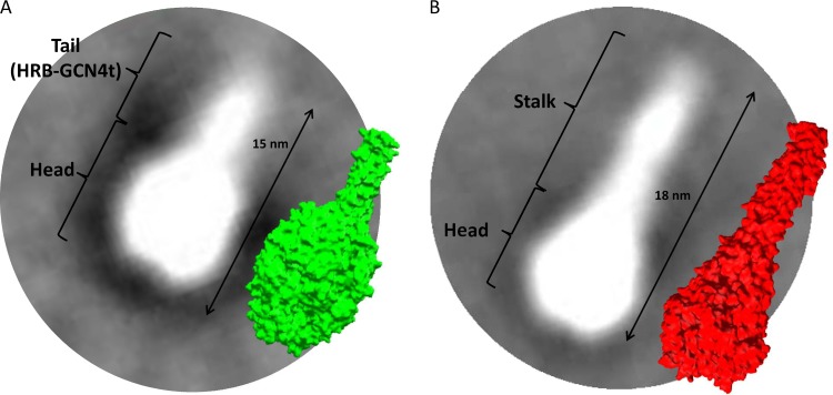 FIG 4