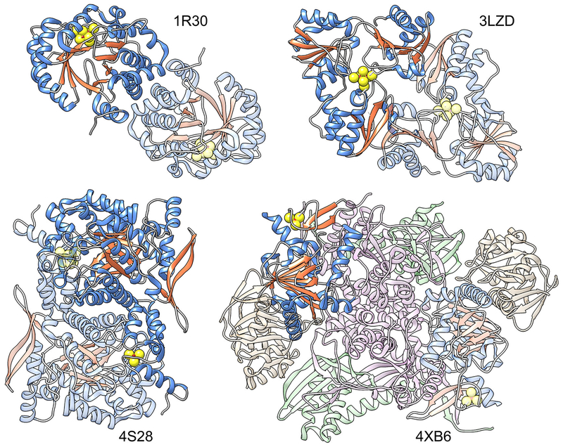 Fig. 2.