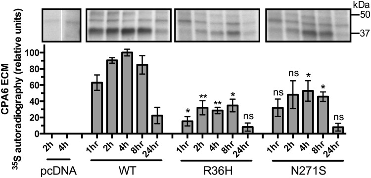 Fig 6