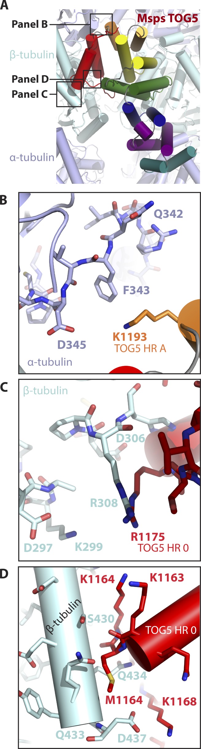 Figure 4.