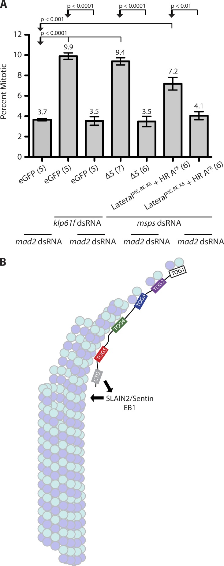 Figure 9.