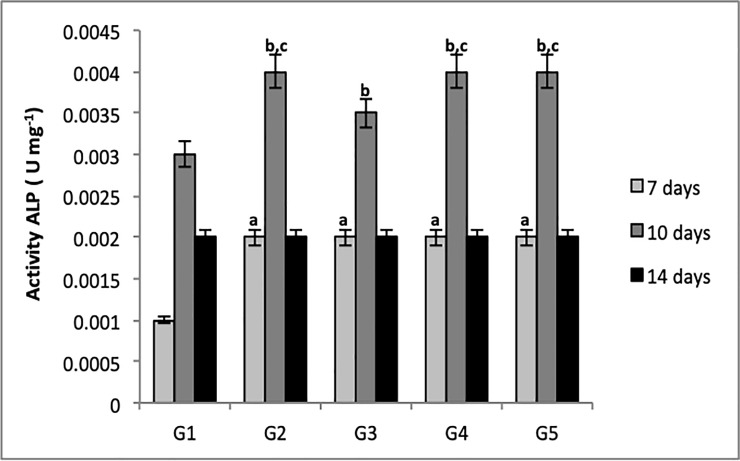 Fig 10