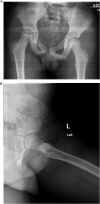 Fig. 4