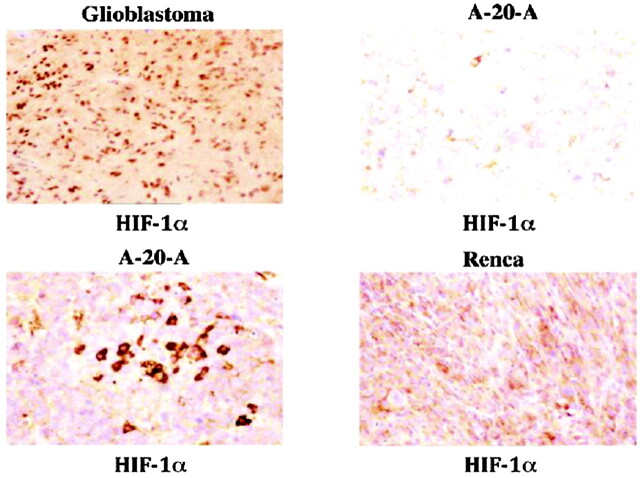 Fig 12.