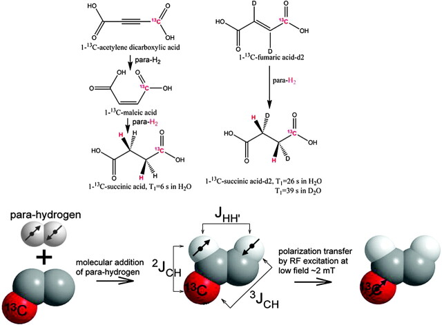 Fig 6.