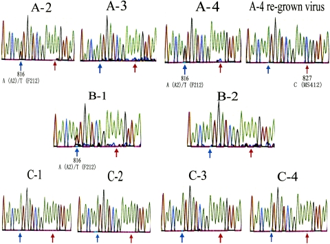 FIG. 3.