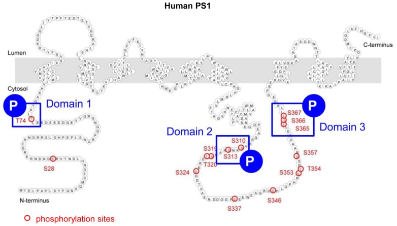 Figure 2—figure supplement 2.