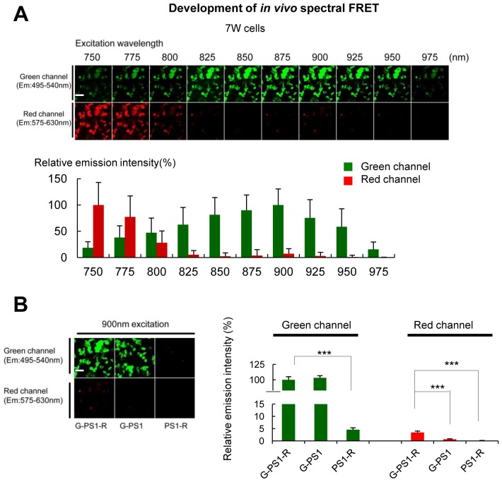 Figure 4—figure supplement 1.