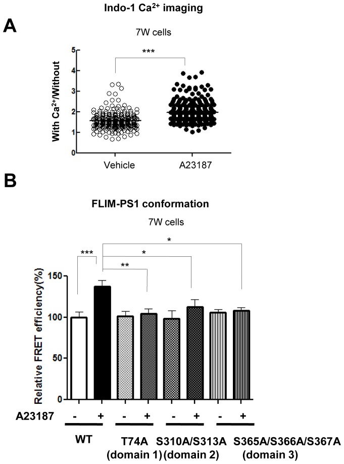 Figure 2—figure supplement 1.