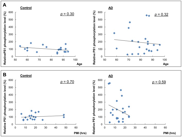 Figure 5—figure supplement 2.