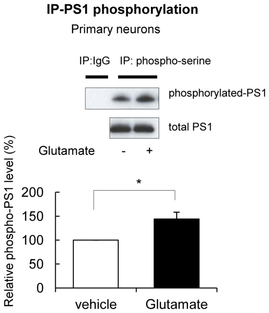 Figure 1—figure supplement 1.