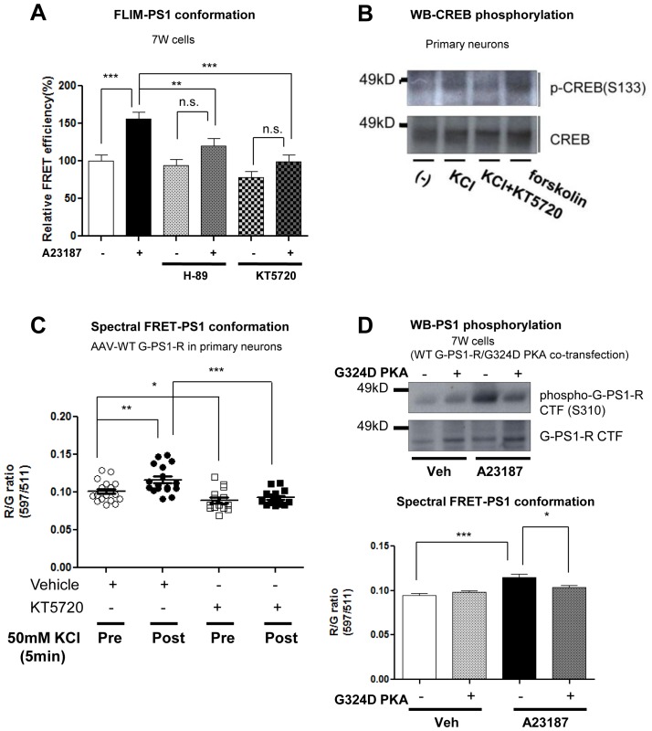 Figure 3—figure supplement 1.