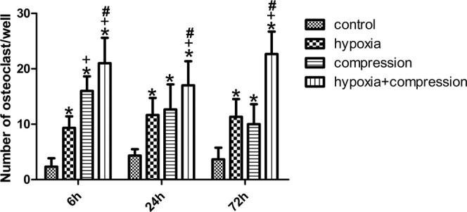 Figure 5. Number of OCs in the coculture systems. Either hypoxia or compression enhanced OC formation significantly. The number of OCs induced by 6-hour compression was higher than that of 6-hour hypoxia, while no difference was detected at 24 or 72 hours. Moreover, synergetic effects on OC formation were observed in the 72-hour group. *P < .05 vs control group; +P < .05 vs hypoxia group; #P < .05 vs compression group.