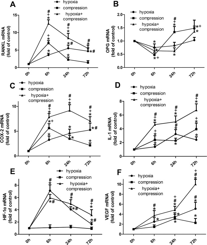 Figure 2. The time-course gene expression of RANKL (A), OPG (B), COX-2 (C), IL-1β (D), HIF-1α (E) and VEGF (F) in PDLCs. Generally, both hypoxia and compression enhanced the mRNA expression of RANKL, COX-2, IL-1β, VEGF and reduced OPG expression in a different manner; while HIF-1α was only regulated by hypoxia. *P < 0.05 vs the control group; +P < 0.05 vs the hypoxia group; #P < 0.05 vs the compression group.