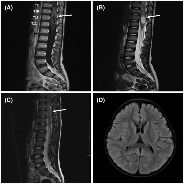 FIGURE 1