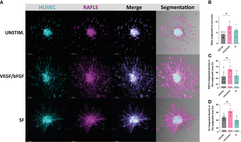 Figure 2