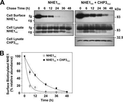 FIGURE 11.