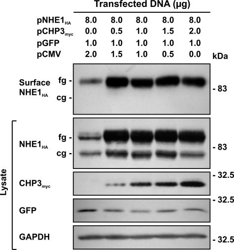 FIGURE 9.