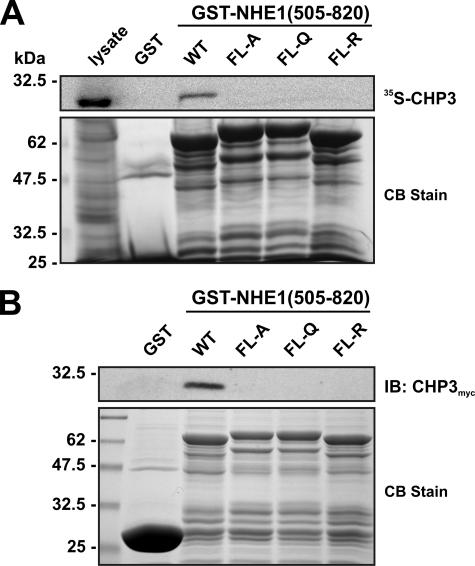 FIGURE 2.