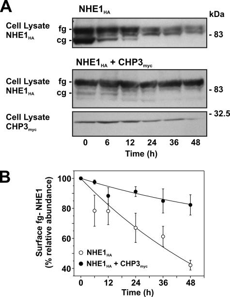 FIGURE 10.