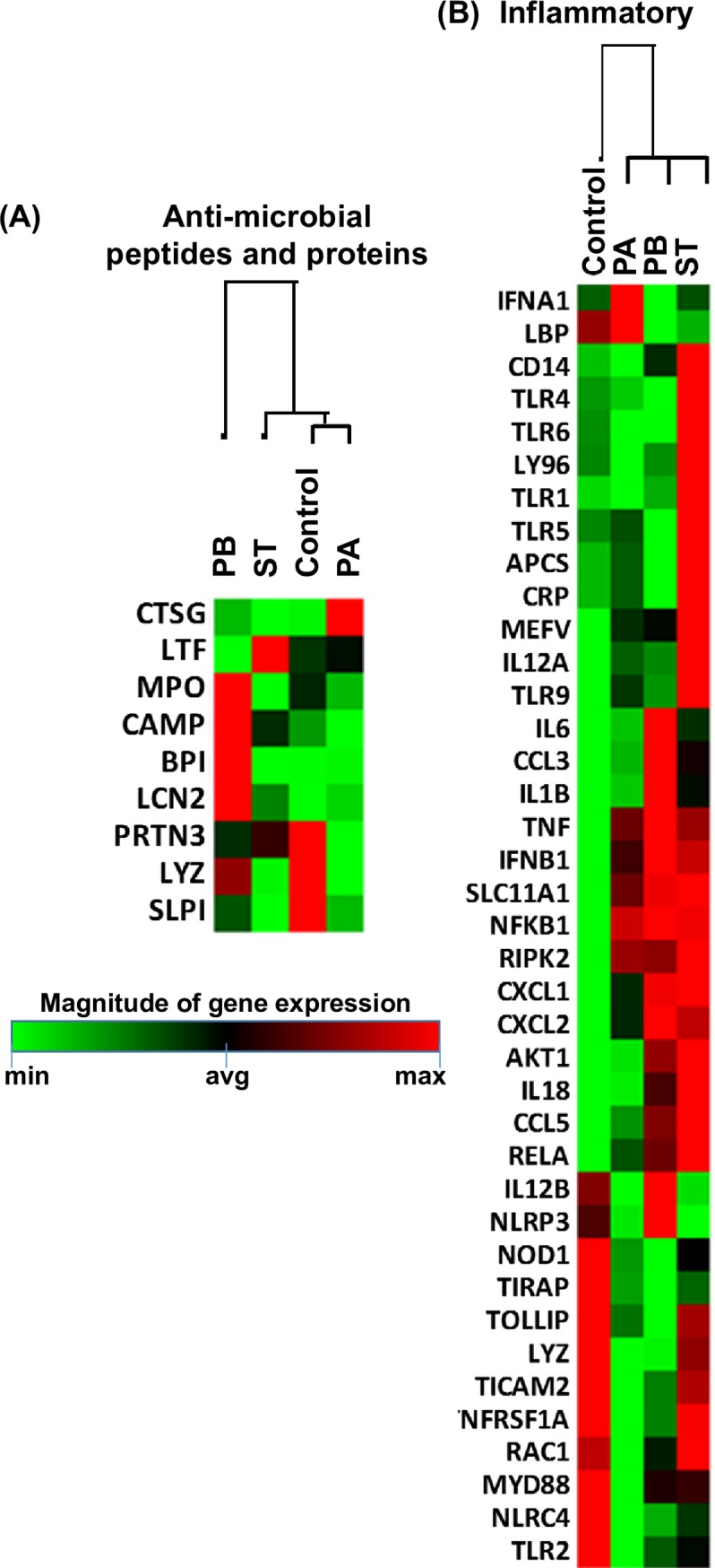 Fig 13