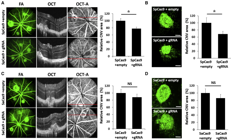 Figure 4