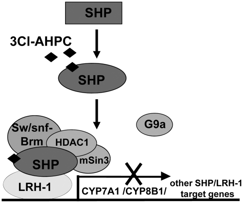 Fig. 8.