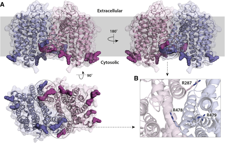 Figure 3