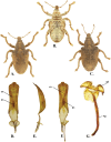 Fig. 3.