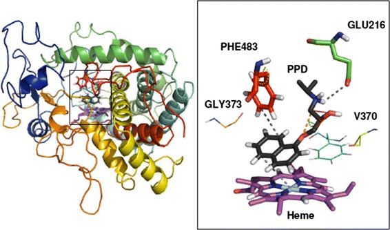 Fig. 6