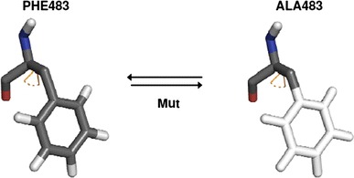 Fig. 2