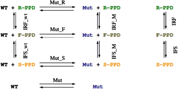 Fig. 4