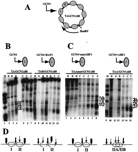 FIG. 1.