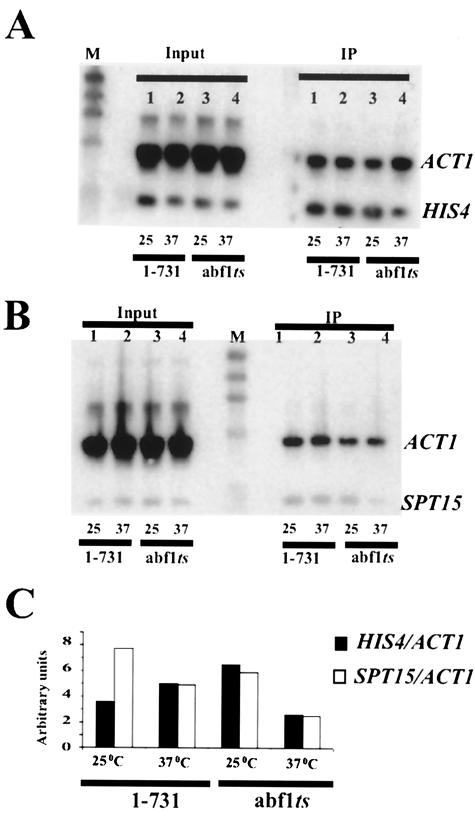 FIG. 7.