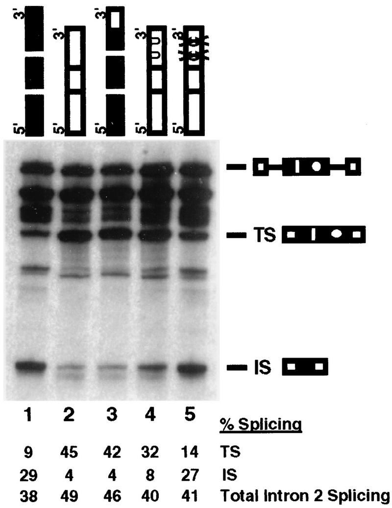 FIG. 5