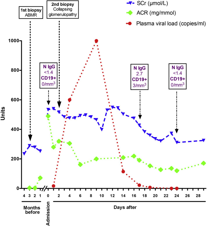 Figure 2