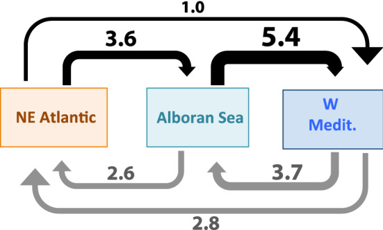 Figure 6