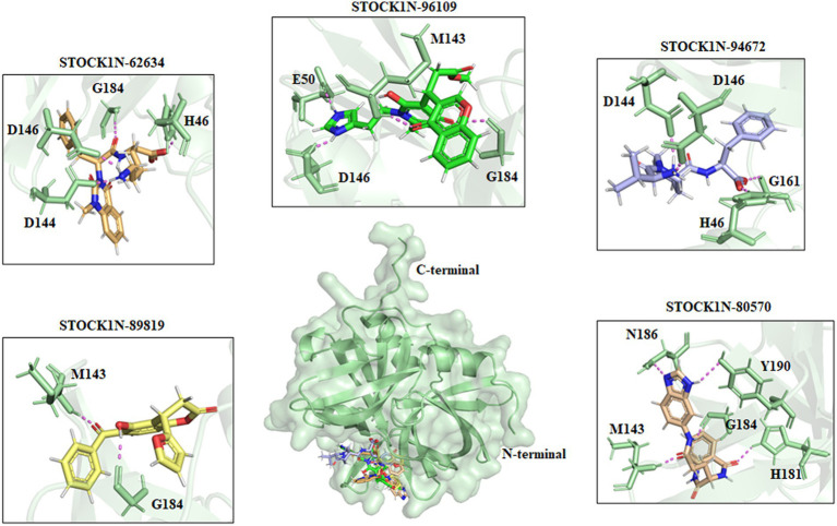 Figure 2