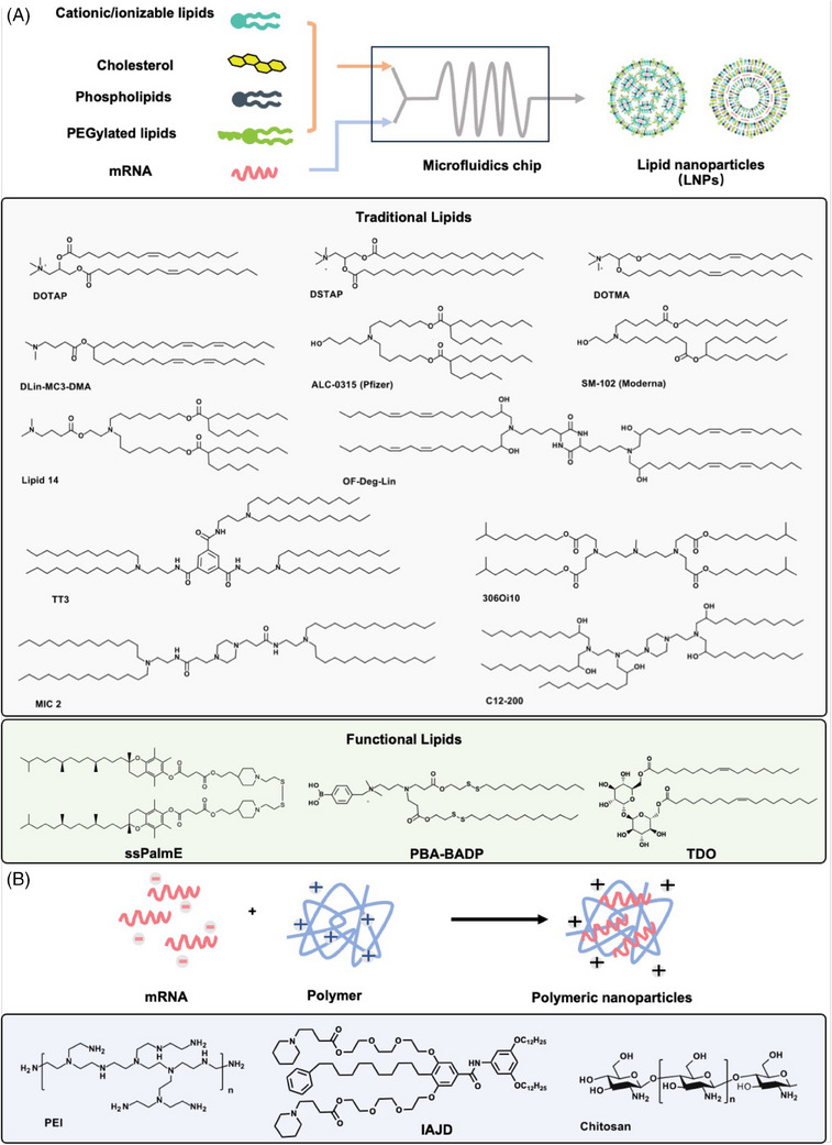 FIGURE 4