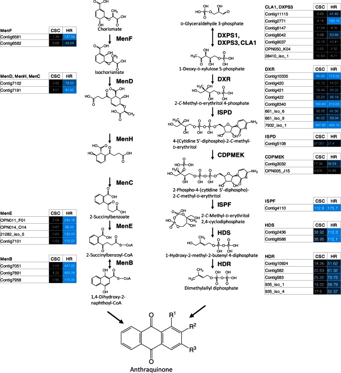 Fig. 3