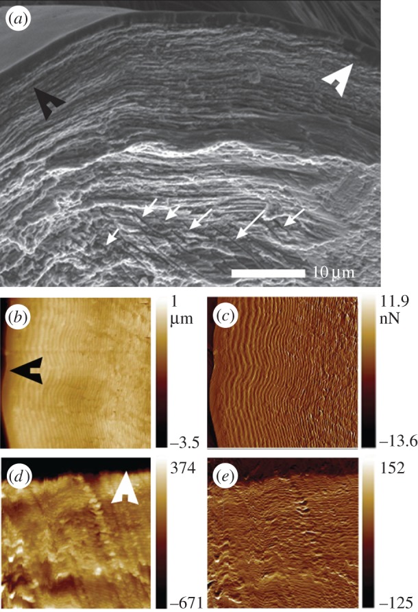 Figure 6.