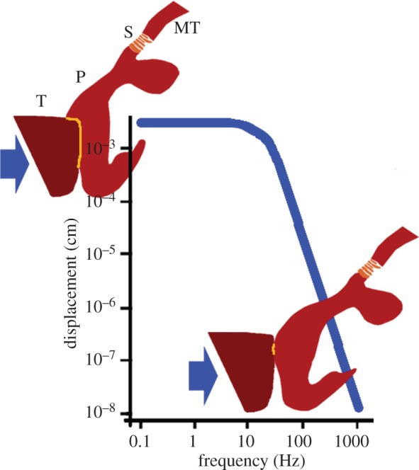 Figure 7.