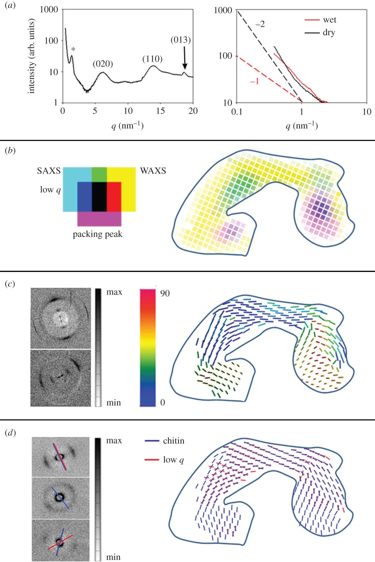 Figure 5.