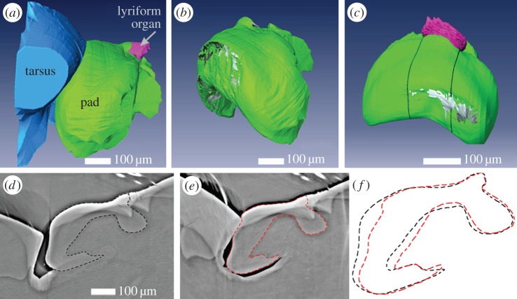 Figure 3.