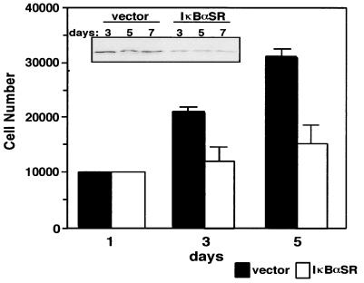 FIG. 12