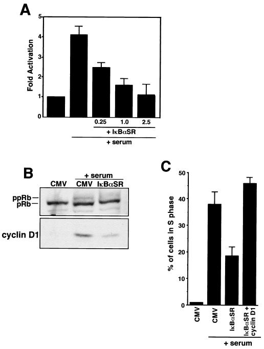 FIG. 11