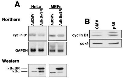 FIG. 9