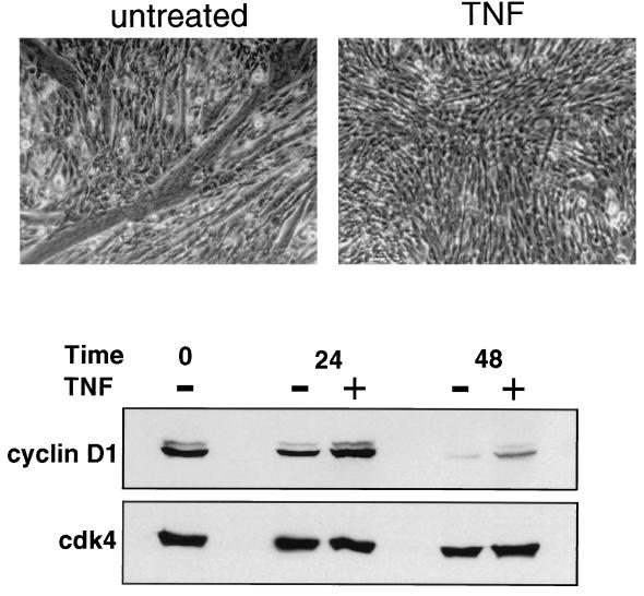 FIG. 8